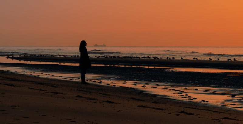 Atardeceres a la orilla del mar