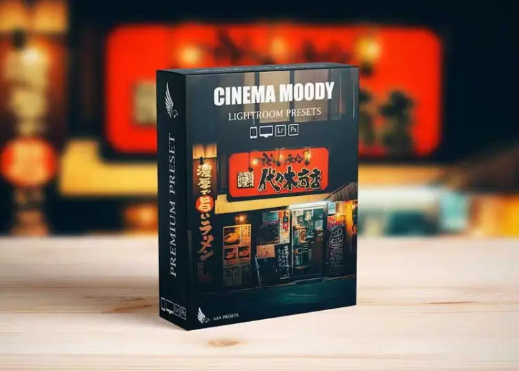 Street Cinematic Dark Moody Lightroom & Photoshop Presets