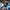 Comica Revo S Wireless Reporter Microphone for Smartphone Windows for Podcasting, Report, Interview, Video Recording, Live Strea - Visión Creativa