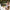 Comica Revo S Wireless Reporter Microphone for Smartphone Windows for Podcasting, Report, Interview, Video Recording, Live Strea - Visión Creativa