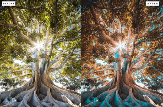 Realistic Rays — Presets Lightroom para Rayos de Luz y Golden Hour