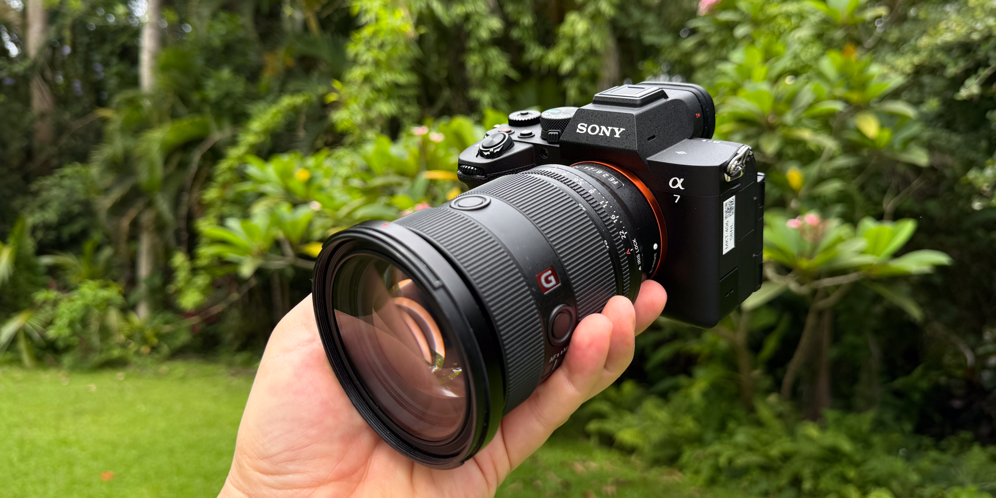 Sony A7 V vs Canon R6 Mark III: ¿cuál para vídeo?